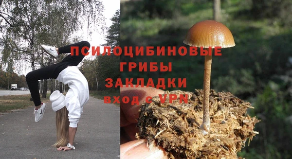 кокс Алексеевка