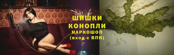 шишки Алзамай