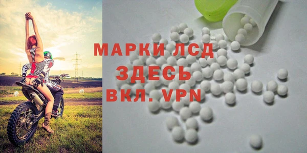 шишки Алзамай