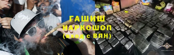шишки Алзамай