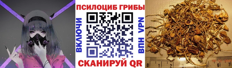 Псилоцибиновые грибы мицелий  наркошоп  Чаплыгин 